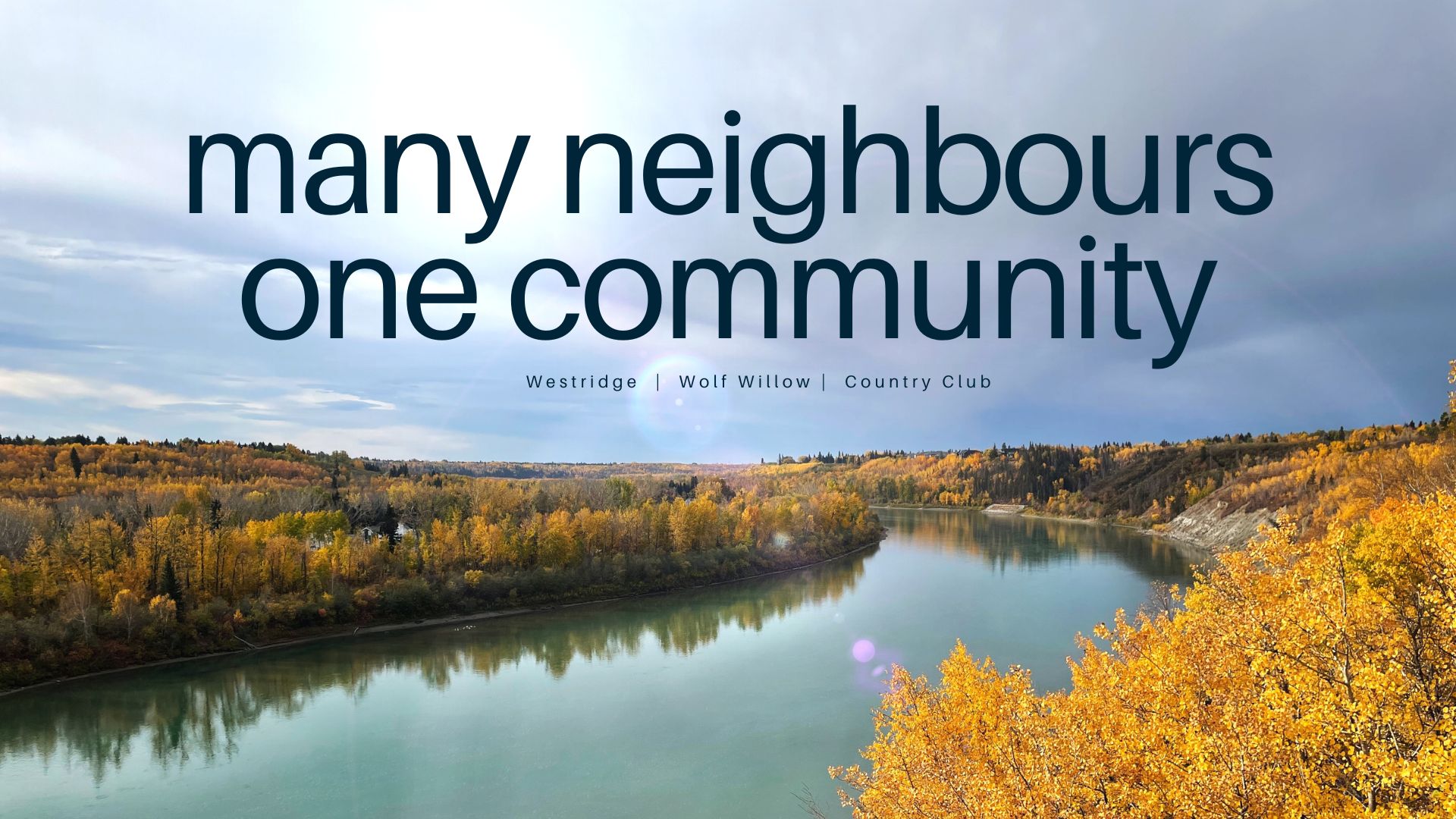 many_neighbours_banner